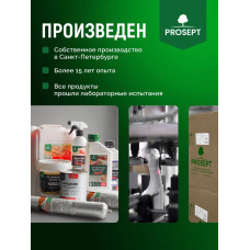 ОгнеБиоЗащита для дерева 2 группа, антисептик огнезащита PROSEPT (Просепт) красный 10 л. (арт. 064-10и)