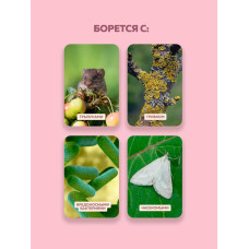 Краска побелка для садовых деревьев и кустарников 6 кг FARBITEX, с антибактериальными добавками для защиты коры от болезней и паразитов
