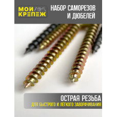Набор саморезов и дюбелей в кейсе