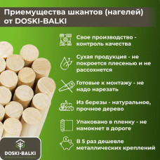 Шкант нагель строительный, сухой, березовый, круглый, 23х250мм, 48шт