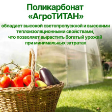 Сотовый поликарбонат АгроТИТАН для теплиц 4 мм, размер 6 х 2,1 м (2 листа)