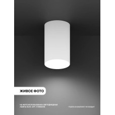 Ritter Спот потолочный накладной Arton, белый 59950 0