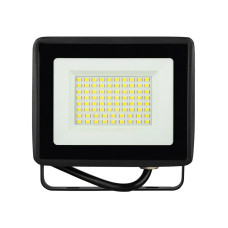 Прожектор светодиодный уличный ЭРА RED LINE LPR-024-050 50Вт 6500К 4000Лм IP65