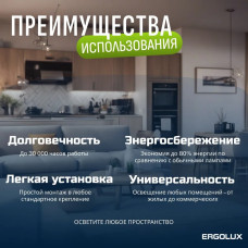 Светодиодная лампочка 6500K GU5.3 / Ergolux / LED, 10Вт, дневной холодный свет