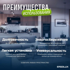 Набор из 10 светодиодных лампочек 6500K E27 / Ergolux / LED, 11Вт