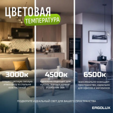 Набор из 10 светодиодных лампочек 6500K E27 / Ergolux / LED, 11Вт